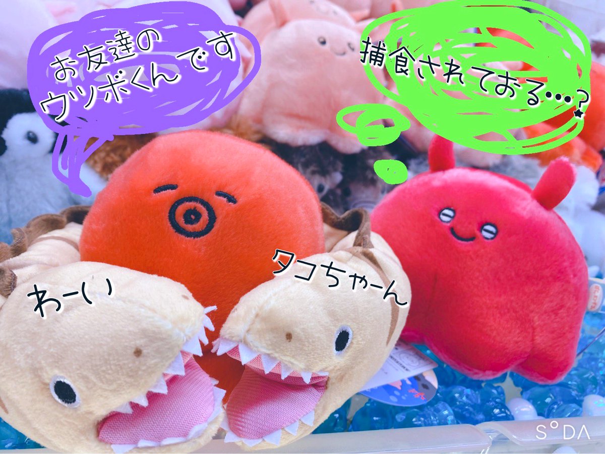 GAO歌舞伎町店【AMUFUN直営店】 on X