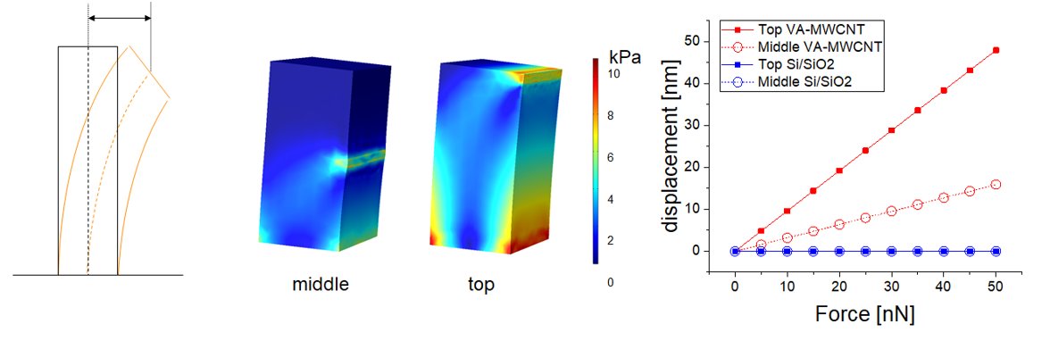 9/10: The features provided by the 3D #carbonnanotubes templates were used to extrapolate the contractile forces exerted by the chondrocytes on the micropillars. The chondrocytes traction force is in the range of 2.5-5nN. #eFuture2020