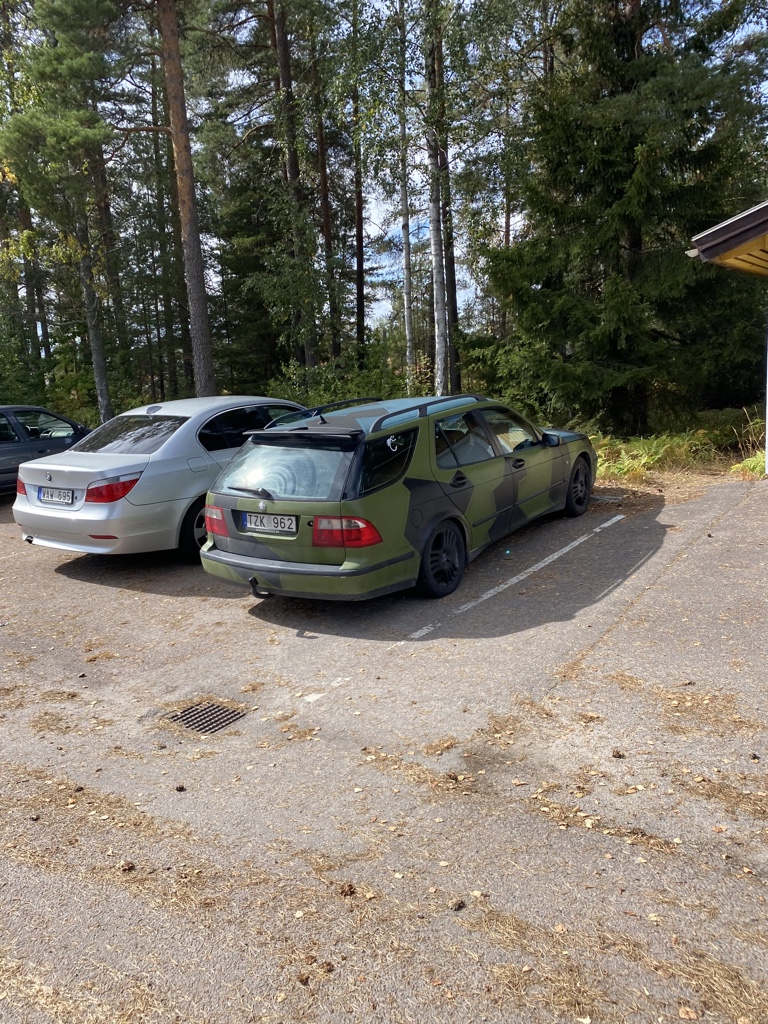 Otäckt, tyckte jag hörde en bil komma och parkera men ser ingen