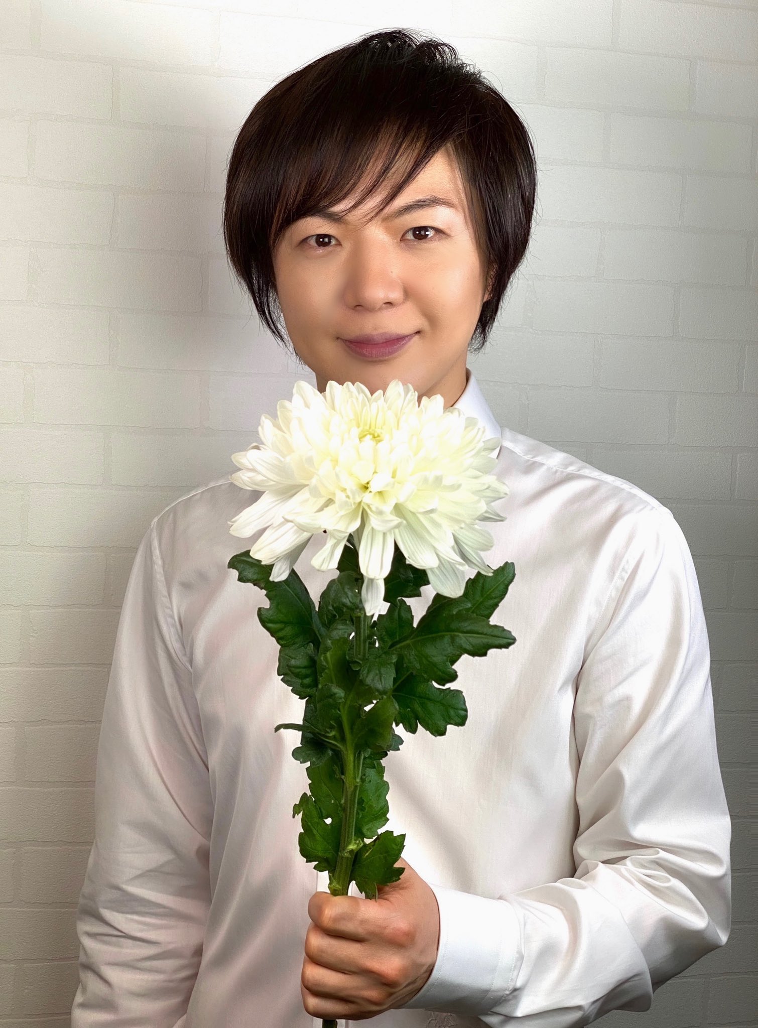 竹島宏スタッフ 公式 ヨーロピアンマム 花言葉は 真の愛 純白の大きな花が美しい 白は高貴な色で浄化パワー が宿ると言われいます 今日も１日お疲れ様でした ひろネット 花 Flower 花言葉 花のパワー 花を贈ろう 花のある暮らし 絆