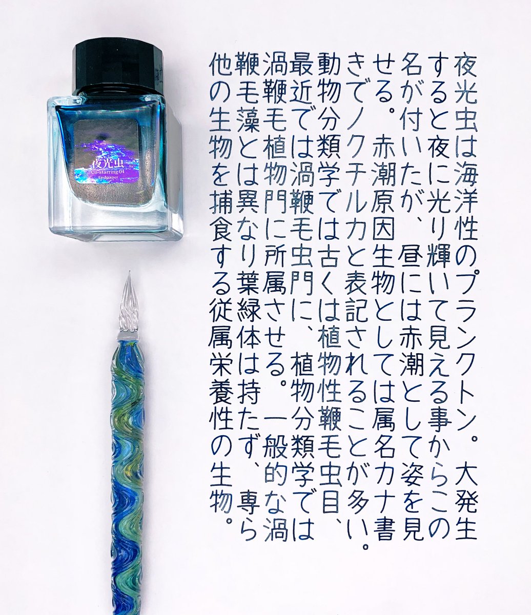 夜光虫のインクで夜光虫の説明を書きました✍🏼虫ってついてるけど