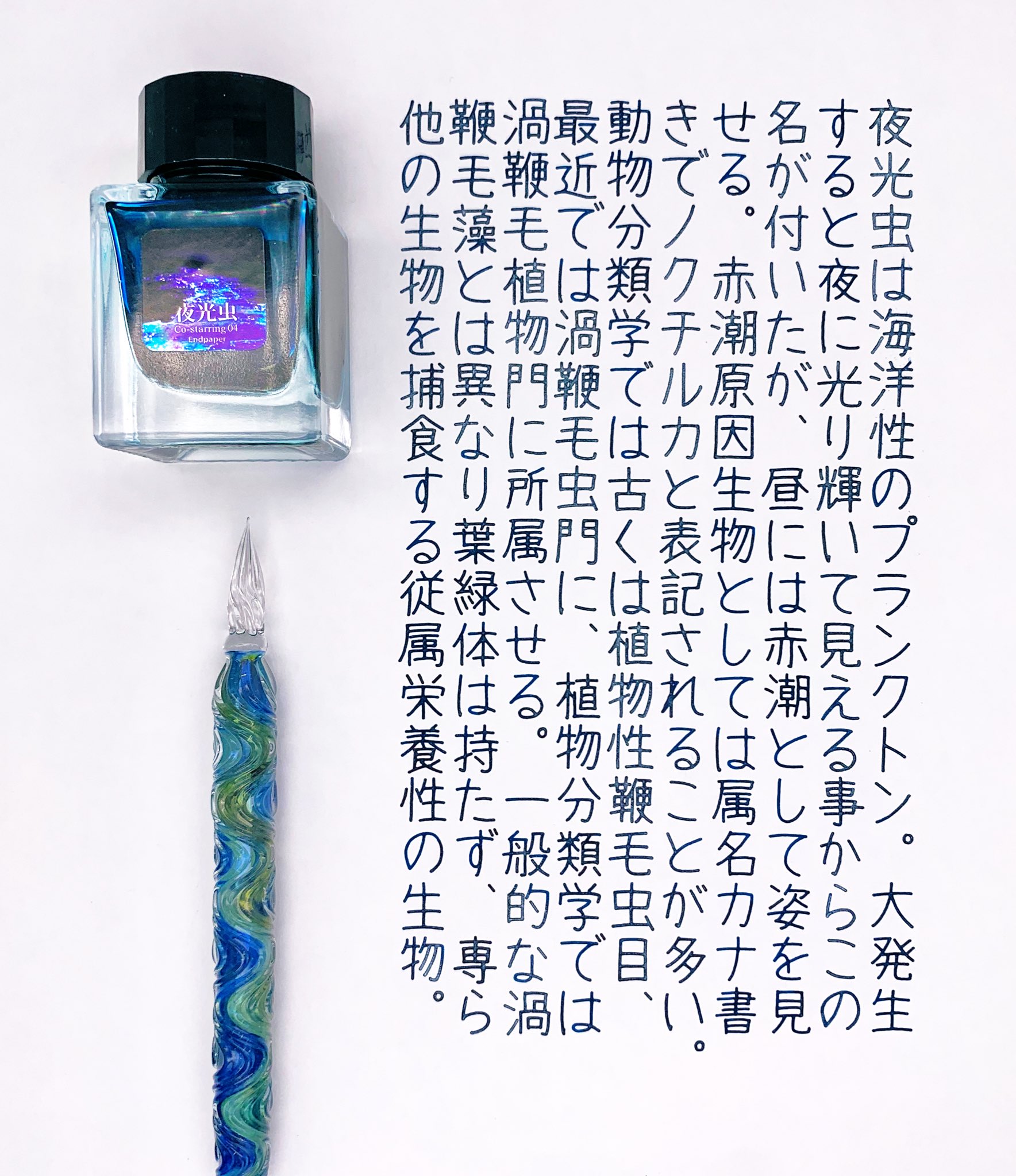 Endpaper インク 夜行虫 Endpaper インク 夜行虫 Endpaper インク 夜行