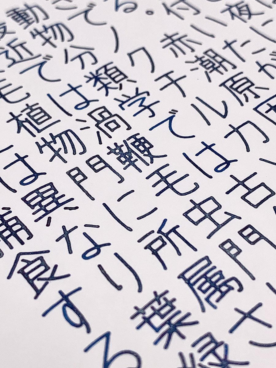夜光虫のインクで夜光虫の説明を書きました✍🏼虫ってついてるけど