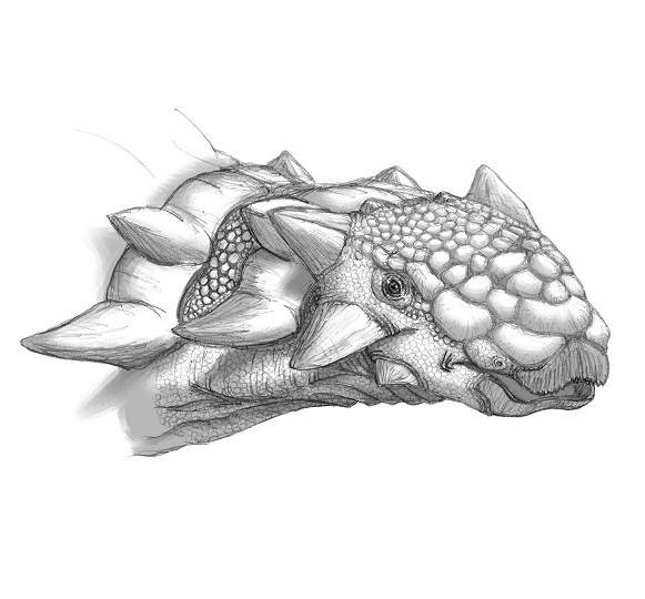 Conversation Between Asa And Kta92751434 1 Whotwi Graphical Twitter Analysis