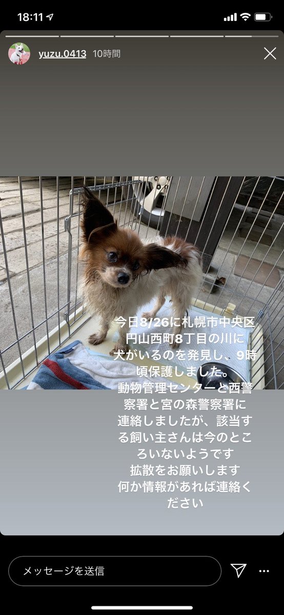Amimi524 なんで動物を大事にできない人がいるのか わからないし わかりたくもないし イライラしてもどうしようもないけど イライラするし 何もしてあげられない自分にもイライラする Amimi524 なんで動物を大事にできない人がいるのか わからないし わかりたくもないし イライラしてもどうしようもないけど イライラするし 何もしてあげられない自分にもイライラする
