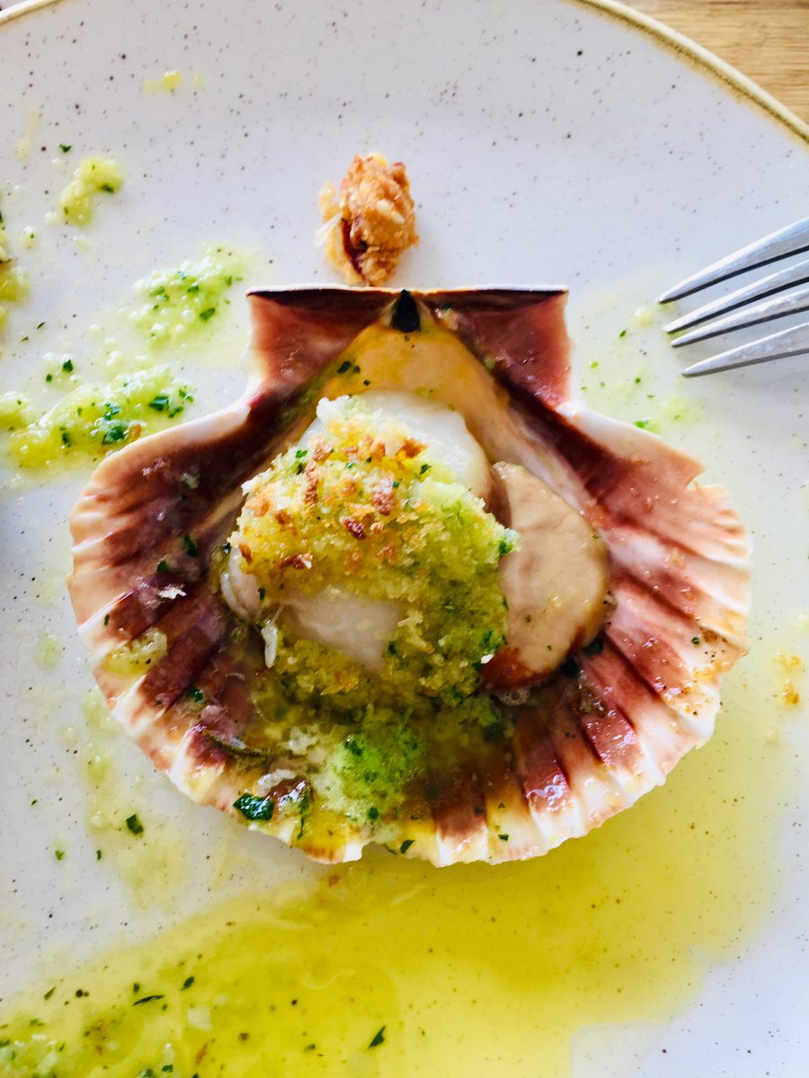 steffan williams tweet media