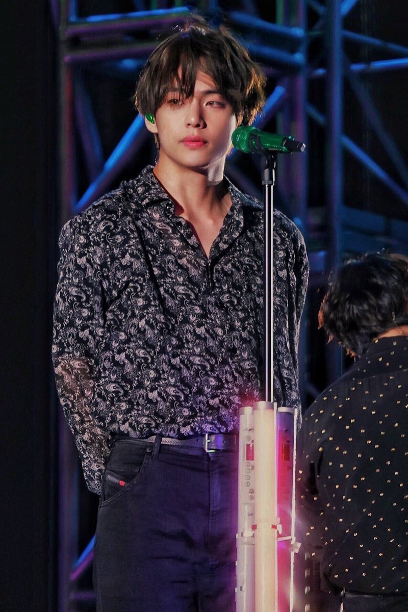 Kim Taehyung (V): Is part of the vocal line and maknae line. He's handsome, he's one of the nicest men I've ever seen. His voice is particular and very deep, he won the title of most beautiful man in the world of 2017 and 2020.