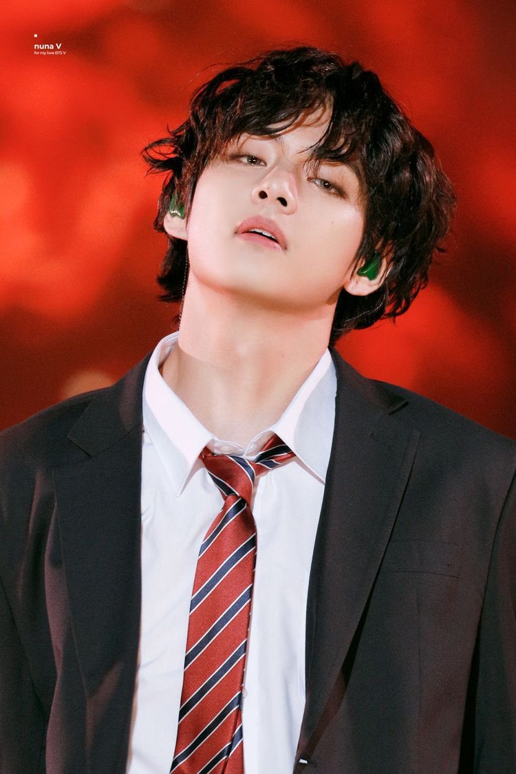 Kim Taehyung (V): Is part of the vocal line and maknae line. He's handsome, he's one of the nicest men I've ever seen. His voice is particular and very deep, he won the title of most beautiful man in the world of 2017 and 2020.