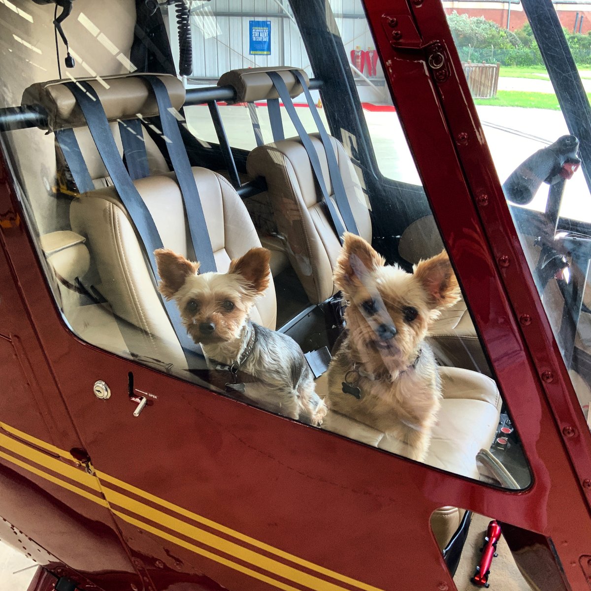 HeliSpeed Academy tweet media