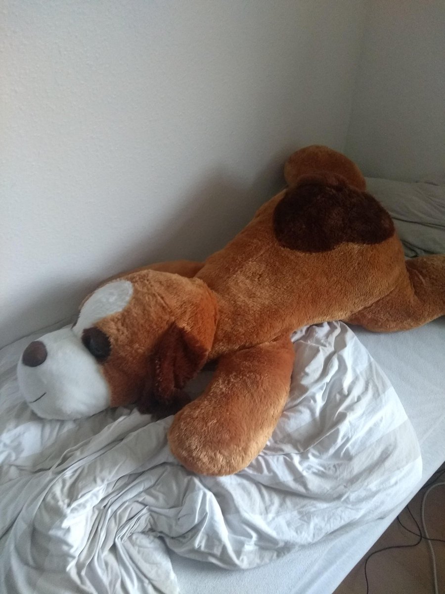 Magnus84905635's tweet photo. Giant Teddy bear https://t.co/pQ7sjSRxq4