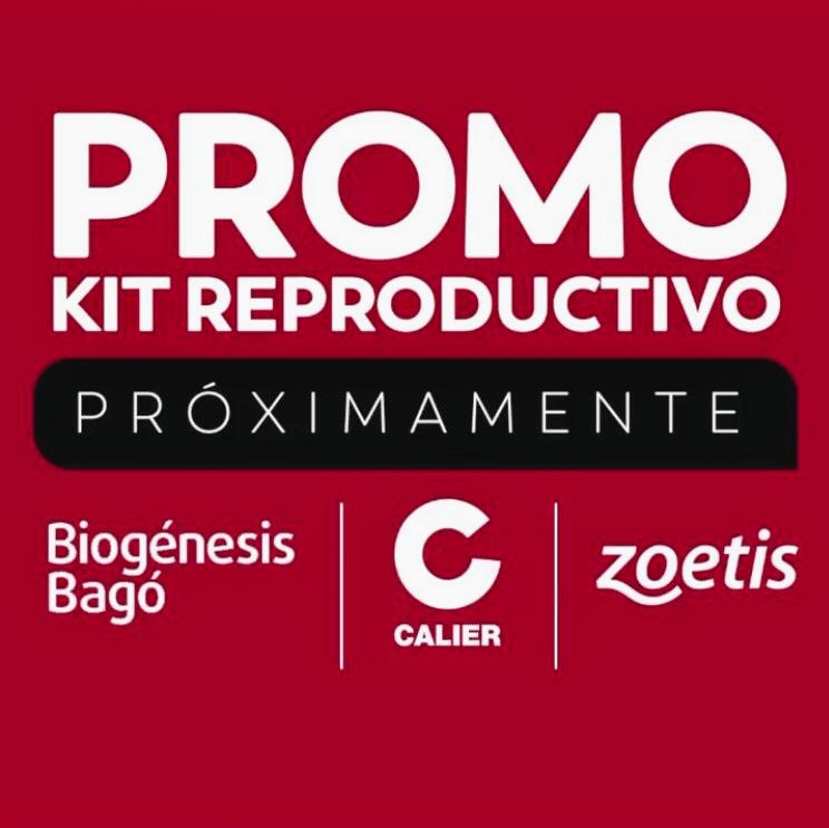 Campo&Asociados (@campoyasociados) on Twitter photo 