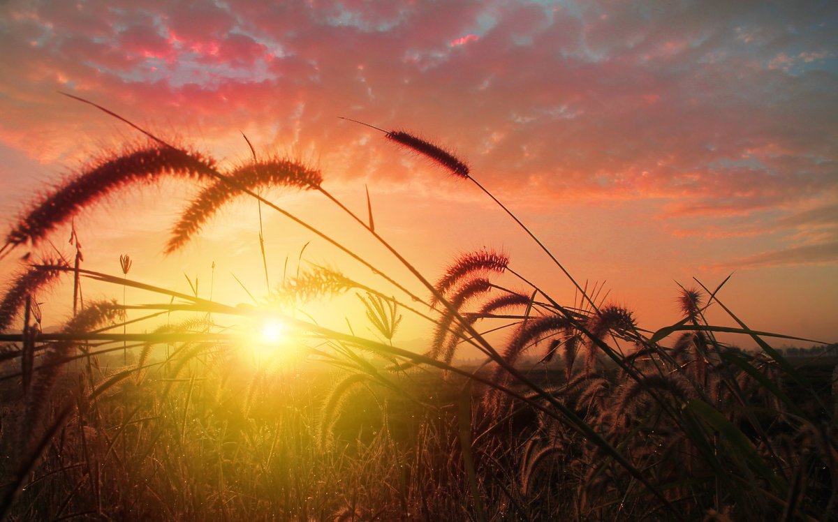 September is generally a cooler, gustier month than August and the days are noticeably shorter.

Here's everything you need to know about gardening in September! ⬇️

bit.ly/1i8alrr 

#gardening #gardeneningjobs