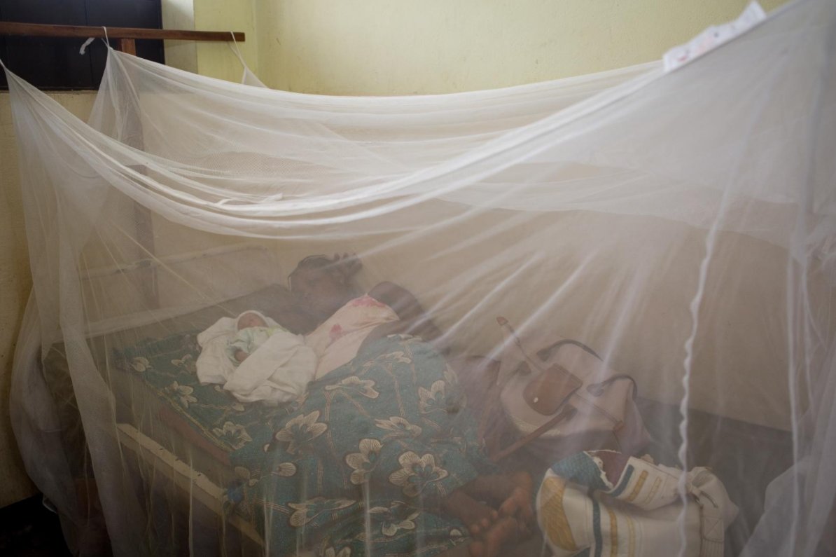 Togo is first African country to end sleeping sickness as a public health problem