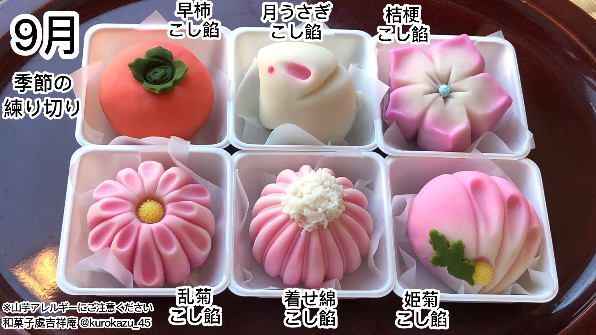 黒和 和菓子處 吉祥庵 湘デコ お知らせ 現在ご予約をお受けしている練切の一覧になります 店渡しは9 5より 通販の納期は9 6よりとなっております 繰り返しのお知らせですが 情勢を鑑み 神奈川県外のお客様には通販のご利用をお願い致しており