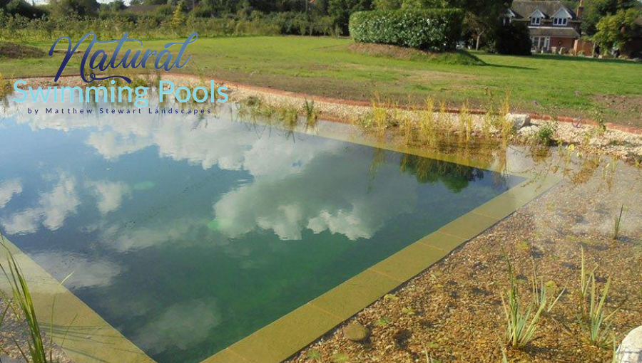poolsbymatthew's tweet photo. The water is so clear - Dive in! #naturalswimmingpools https://t.co/uOeW0BSWvz https://t.co/Wdg3bT3xYQ