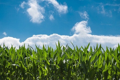 InformationWeek's tweet photo. 10 cloud-native startups to watch: https://t.co/P9BX5HGVhI? @ckharvey #cloud #cloudnative #cloudstartups https://t.co/2XmgQ4TyHz