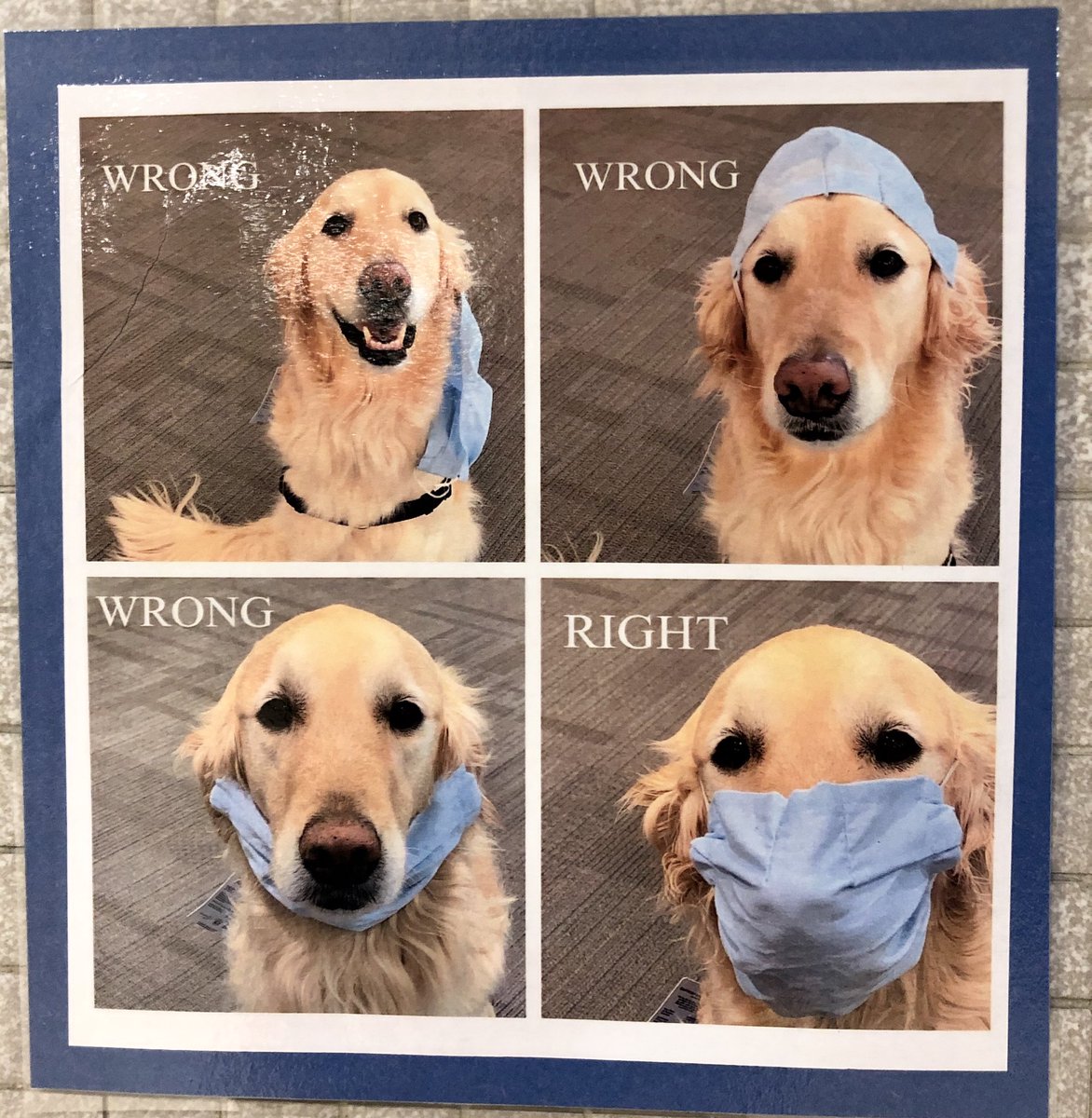 awlsft's tweet photo. Among many other things, FT students are learning the right way to wear a mask 😷 today😁. https://t.co/HZ5oZiPqFn
