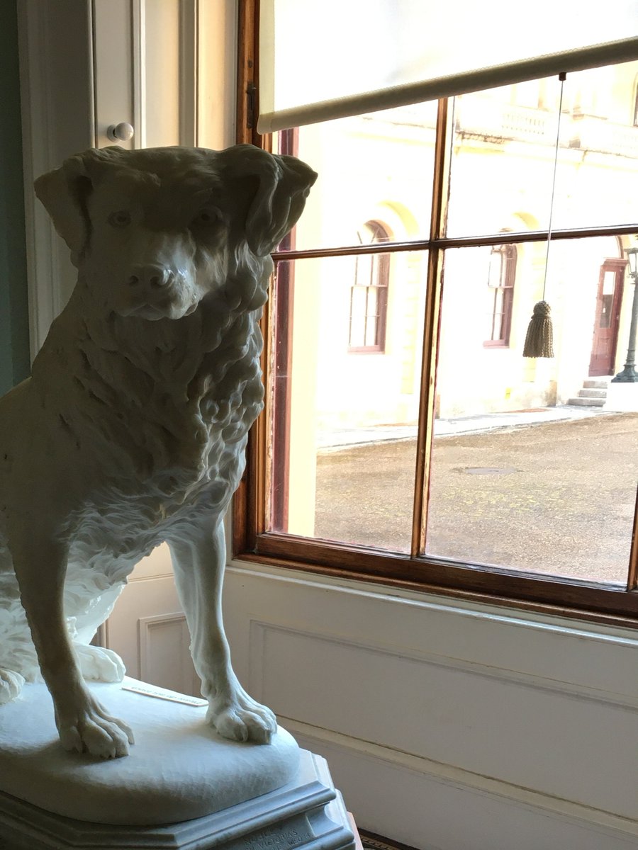 Paws4History's tweet photo. I forgot to schedule my post yesterday for  #InternationalDogDay Here are some of Queen V's doggies entourage. Photos taken @EHOsborneHouse #historicpets #historyofpets #dogs https://t.co/rIzAMvaV0Q