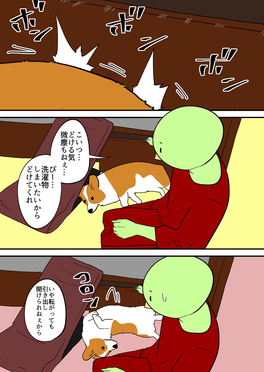 どいてくれないコーギー 