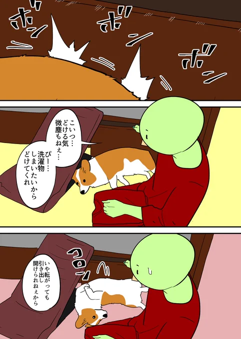 どいてくれないコーギー 