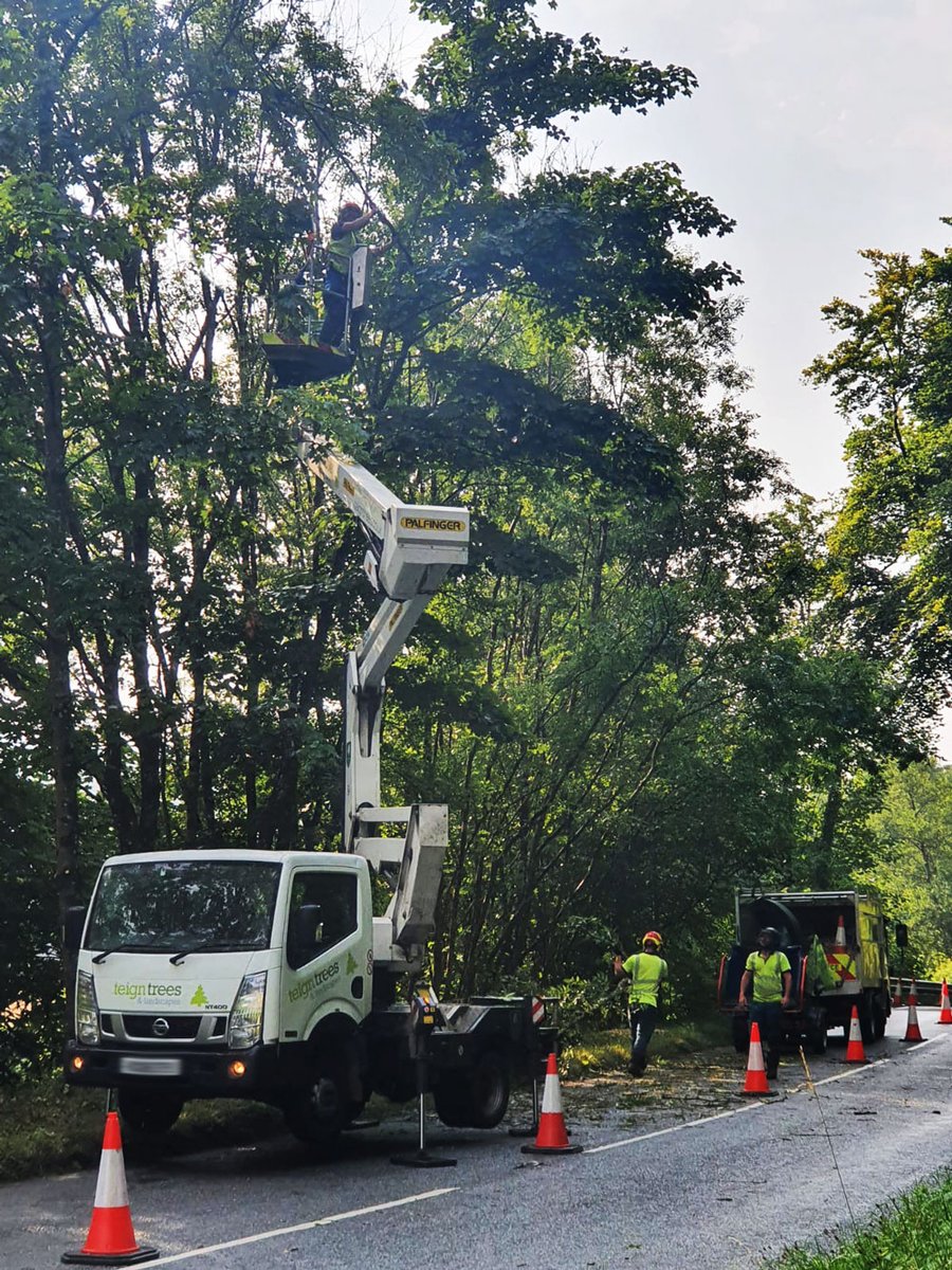 teigntrees's tweet photo. Check out these shots sent in by Nick W of some #AshDieback removal work for @DevonCC in the beautiful #TeignValley. Take a look at our dedicated website for all you need to know about this devastating disease. https://t.co/25rBfew8nL #teigntrees #thursdaytreeworks #chalara https://t.co/immDlDgD0e