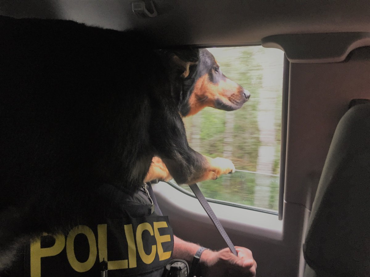 OPP North West Region tweet media