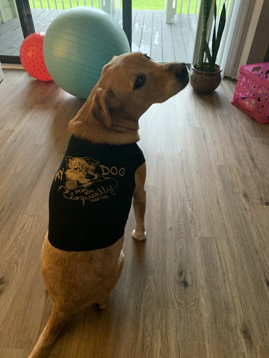 katelyn_benton's tweet photo. @TeeRico_LinMan My pup just got new @TeeRico_LinMan merch! ๐ค #hamildog https://t.co/WsxFqKipBn