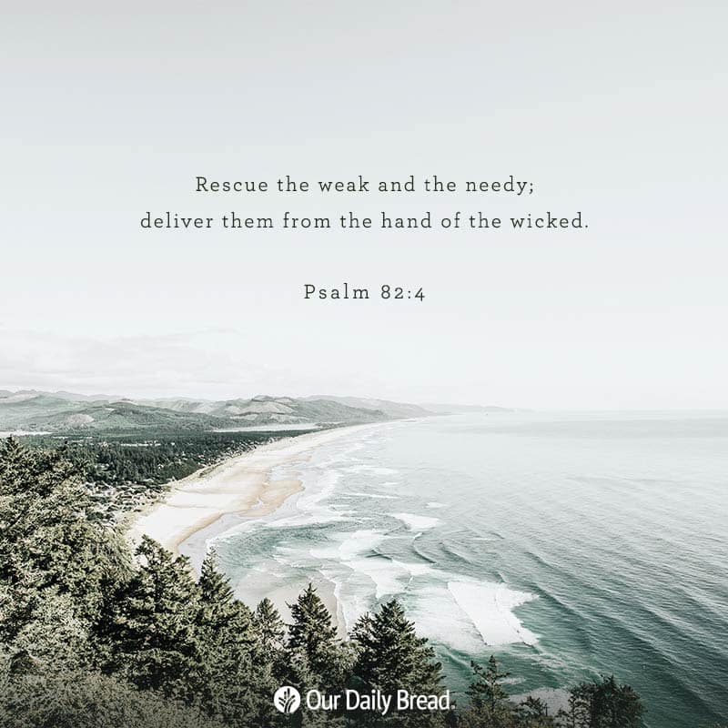 Our Daily Bread (@ourdailybread) on Twitter photo 