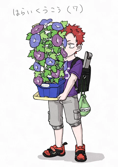世話をする生き物すべてが異常なくらい元気になるのでいきもの係を任されているはらいくん朝顔持ち帰るの図 