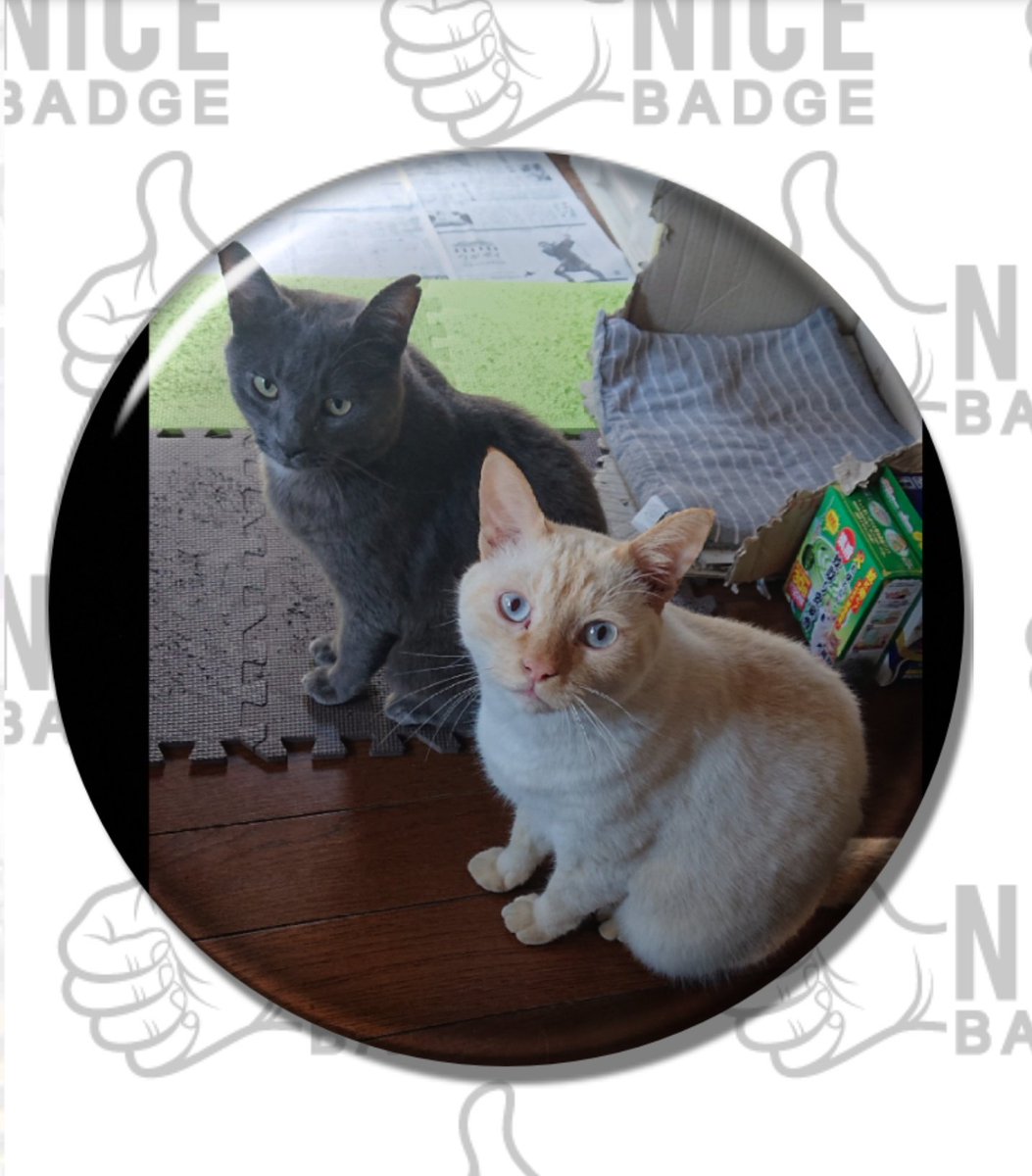 zc_spirit's tweet photo. #nicebadge さんにオーダー✨
各(76mm57mm32mm)x3
皆大事な子たち💖☺️ https://t.co/42LAccuEOE