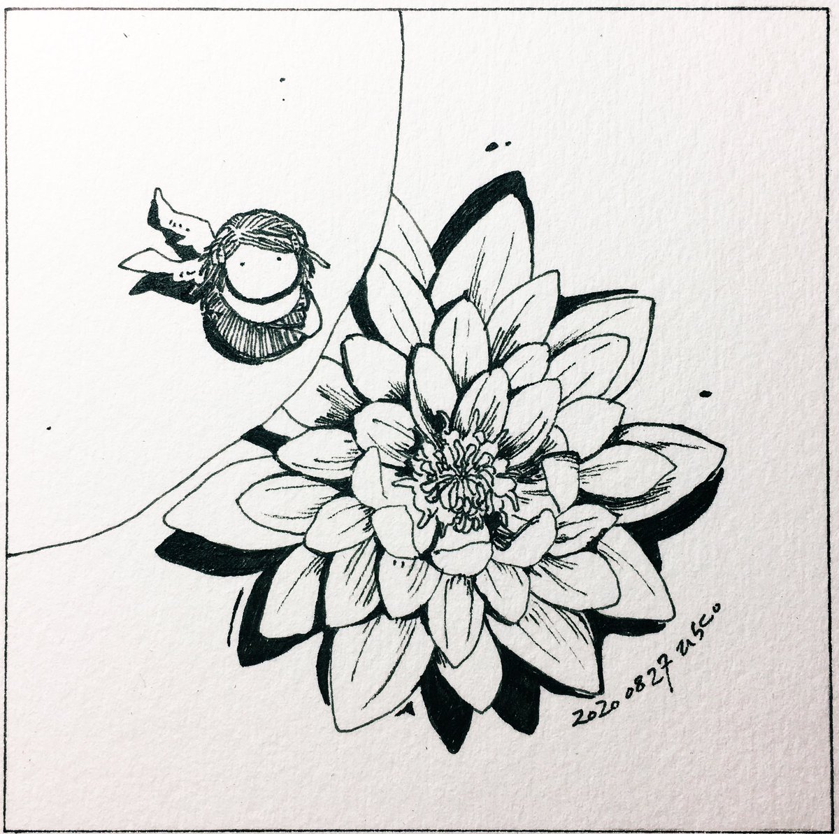 8/27: 

午睡。
Siesta.

#Pavot #ペン画

(参考写真: https://t.co/cEGcusccmK) 