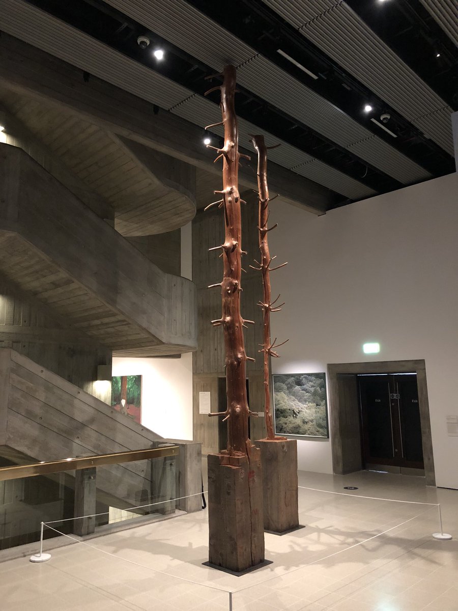 SueBrunningBM's tweet image. Soothing morning #AmongTheTrees @haywardgallery, an exhibition I was set to visit before...well, you know. It was wonderful to see it at last. So many thought provoking, beautiful pieces, timelier than ever with lockdown leading many of us to reconnect with #nature.