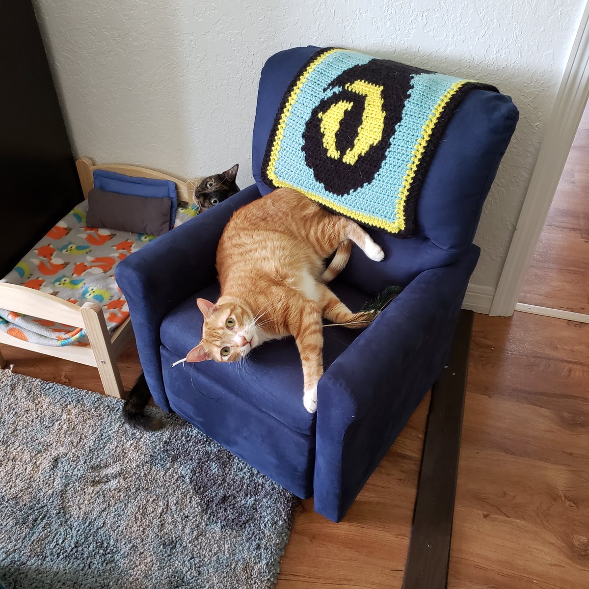 cat recliner