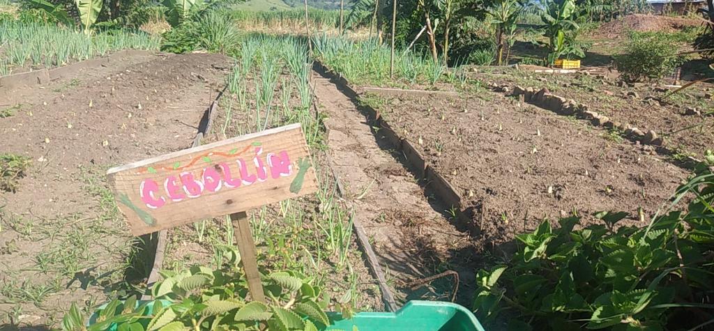 Buenos días, ya preparados para iniciar nuestro #JuevesDeConuco en compañía del personal @tachira_gmas y activos Ministro <a href="/LealTelleria/">M/G Carlos Leal Tellería</a>. Nuestros frutos dan cosechas ricas y abundantes porque amamos lo que hacemos 
<a href="/NicolasMaduro/">Nicolás Maduro</a> <a href="/FreddyBernal/">Freddy Bernal</a> 
#BrigadasAgroproductivas