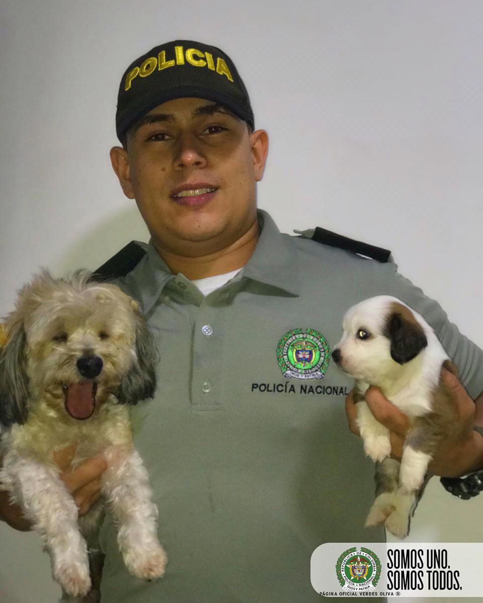 PAGNVerdesOliva's tweet photo. #YoProtejoLosAnimales 🐶🎖🐕 «Para Triunfar, Tu Sed De Victoria Tiene Que Ser Mucho Mayor Que Tu Miedo Al Fracaso» #ESECU 😎 Desde Villavicencio - Meta, EST. Gustavo Aristizábal https://t.co/gx8PQ02W4k