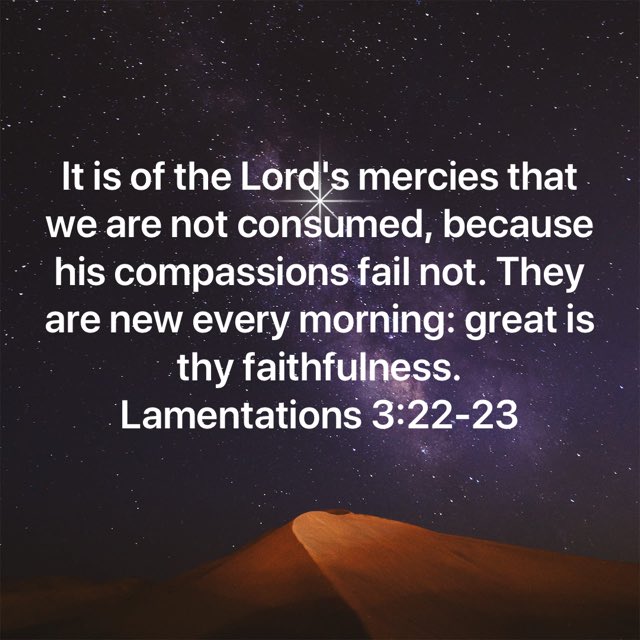 ScottScottg's tweet image. God’s goodness  bible.com/1/lam.3.22-23.…