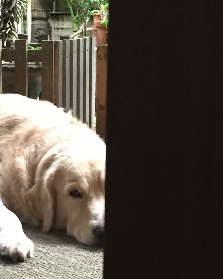 Iris Films tweet media