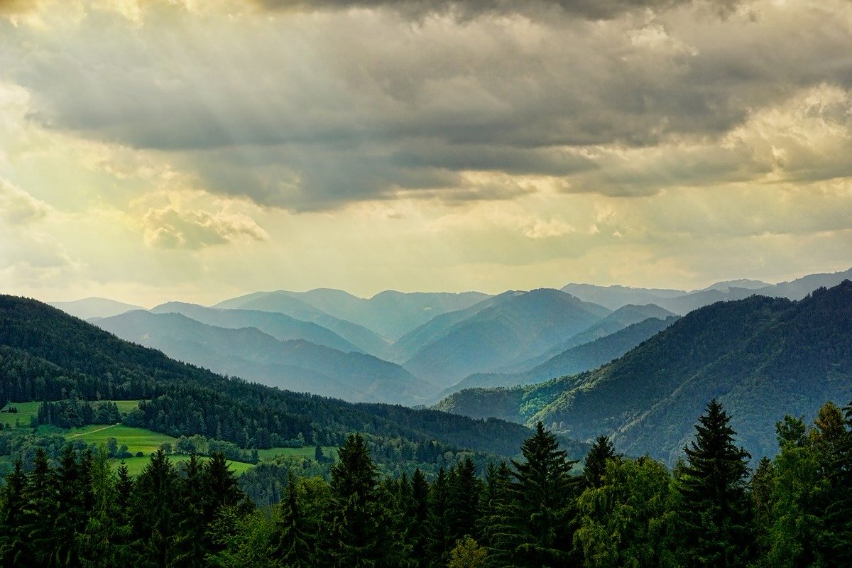 ClimeCo's tweet photo. #ClimeCo’s August blog, “A New Approach to Mitigating Future Carbon Emissions”, written by Vice President of Business Development, David Priddy, is live!
Read it here: https://t.co/8JTJdXx4cF
#TeamClimeCo #ClimeCoBlog #CarbonMarkets #ClimateForward #FMUs #NatureBasedSolutions https://t.co/Dpb3BrLzxU