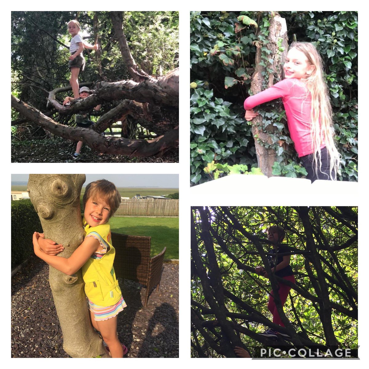 14Coulsdon's tweet photo. We’ve been a bit busy over the summer with the #SummerChallenge that Tawny Owl set us. All our activities go towards @GirlguidingSWE Rustle Bustle & Squeak badges! It’s all about trees today as you can see...
@Guiding_LaSER @GuidingCroydon #StillGuiding #BadgeMad https://t.co/tVVBiq7B0v