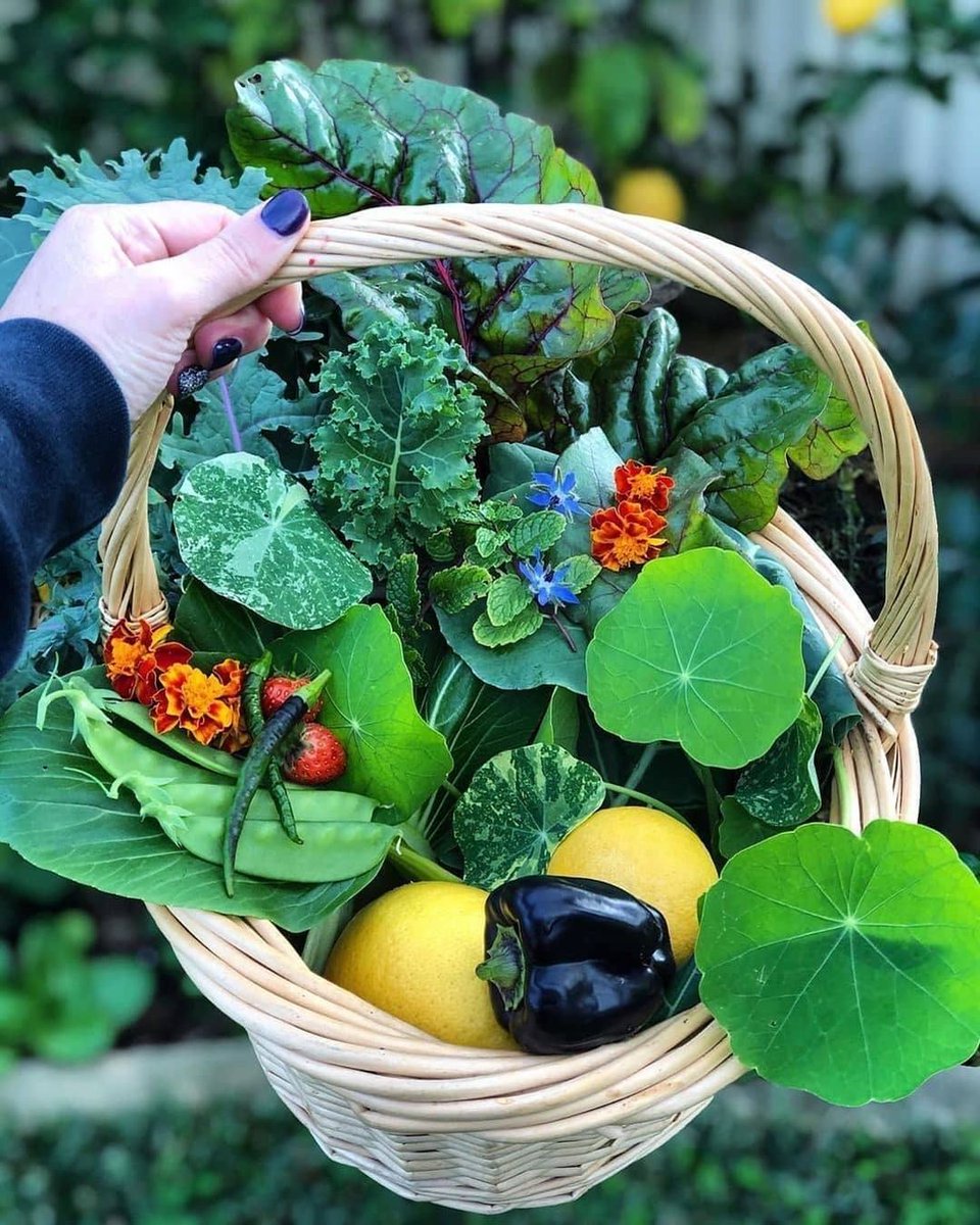 Zero Plastic tweet media