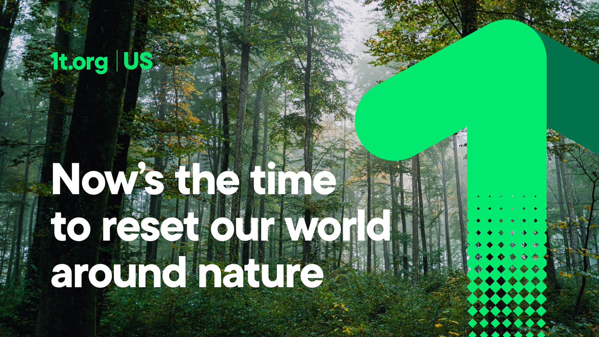 New Reality Co. tweet media