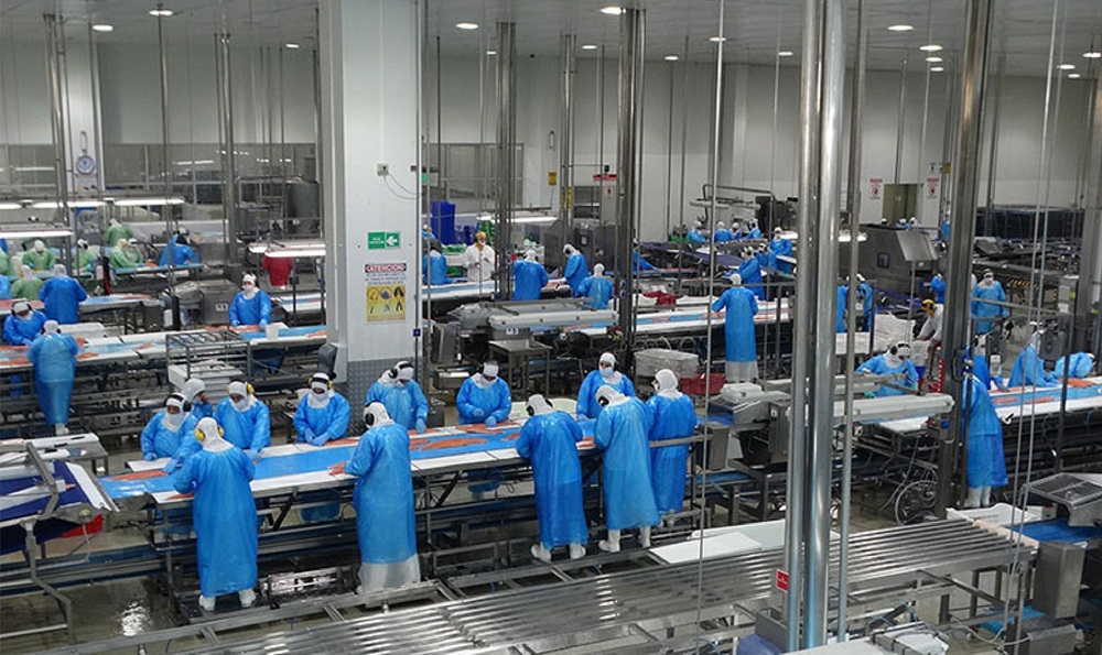 mundoacuicola's tweet photo. Salmonicultura será uno de los focos de Primer Programa de Formación Piloto para sectores productivos prioritarios en Los Lagos
https://t.co/xuQLrbaymc https://t.co/NdmQuydzJF