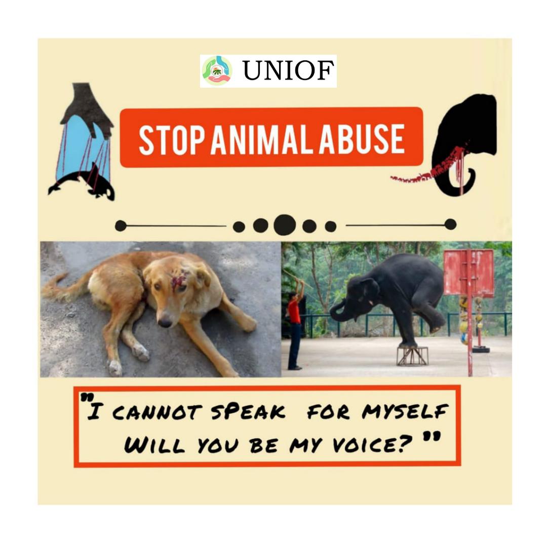 Uniof_org's tweet photo. The laws of benevolence prohibits Animal Abuse.
We smile at the tears and vexations of those living inside the cramped cages.
When God created this planet, all living things had a specific purpose.
STOP putting them in misery just for a few pleasures. https://t.co/rZpk0x6lP2