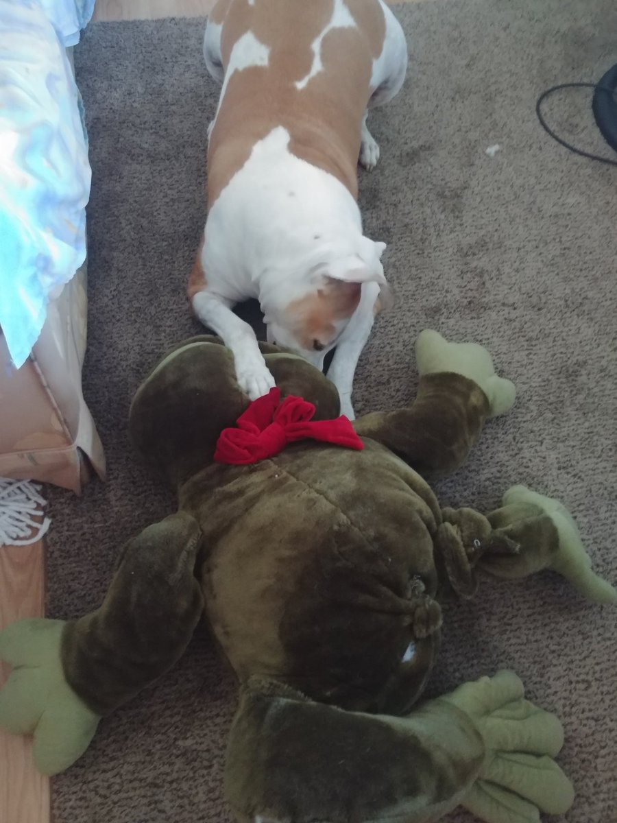 I think Prince 🐸 frog won't be taking up Xenas bed for very long