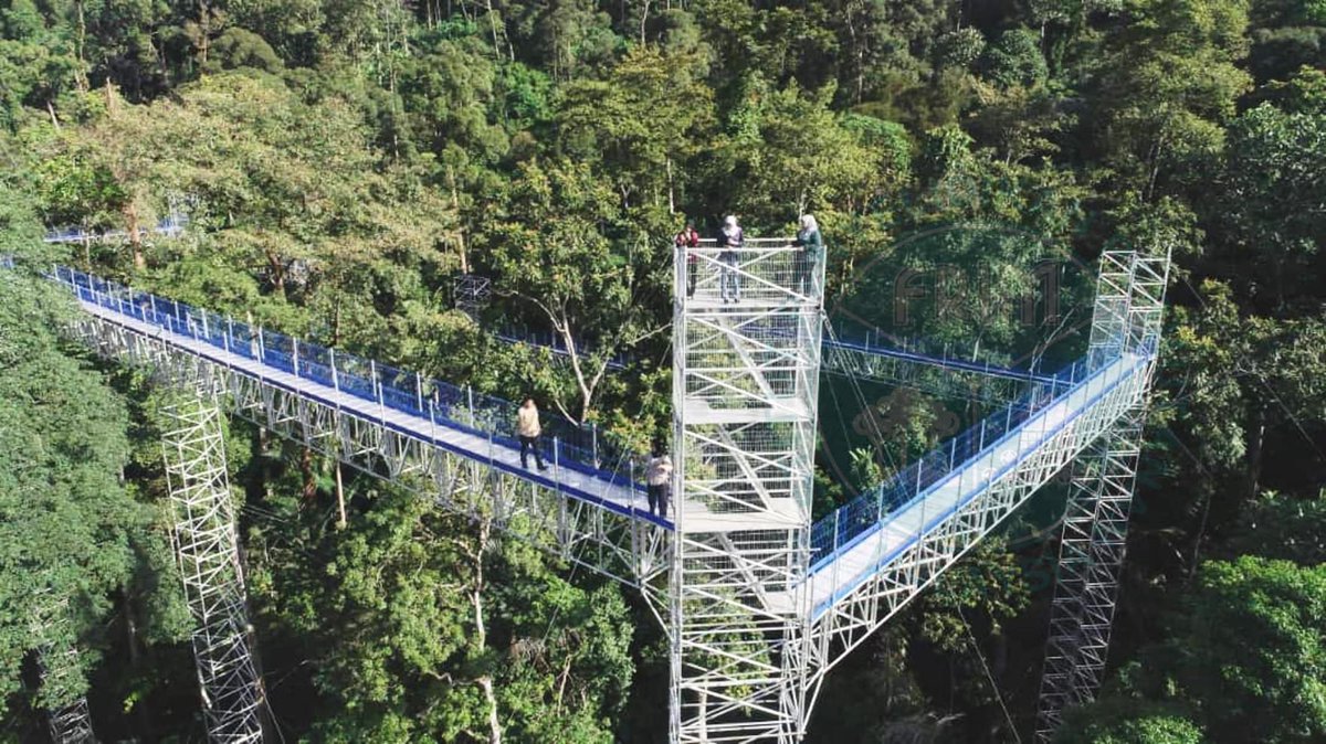 IsskndarAriffin's tweet photo. FOREST SKYWALK FRIM DIBUKA MULAI 31 OGOS

27 Ogos 2020 – ‘Forest Skywalk’ (juga dikenali Jejantas Rimba) FRIM di Taman Botani Kepong (KBG) akan dibuka kepada orang ramai mulai 31 Ogos (Isnin). https://t.co/Tq5eprIETr