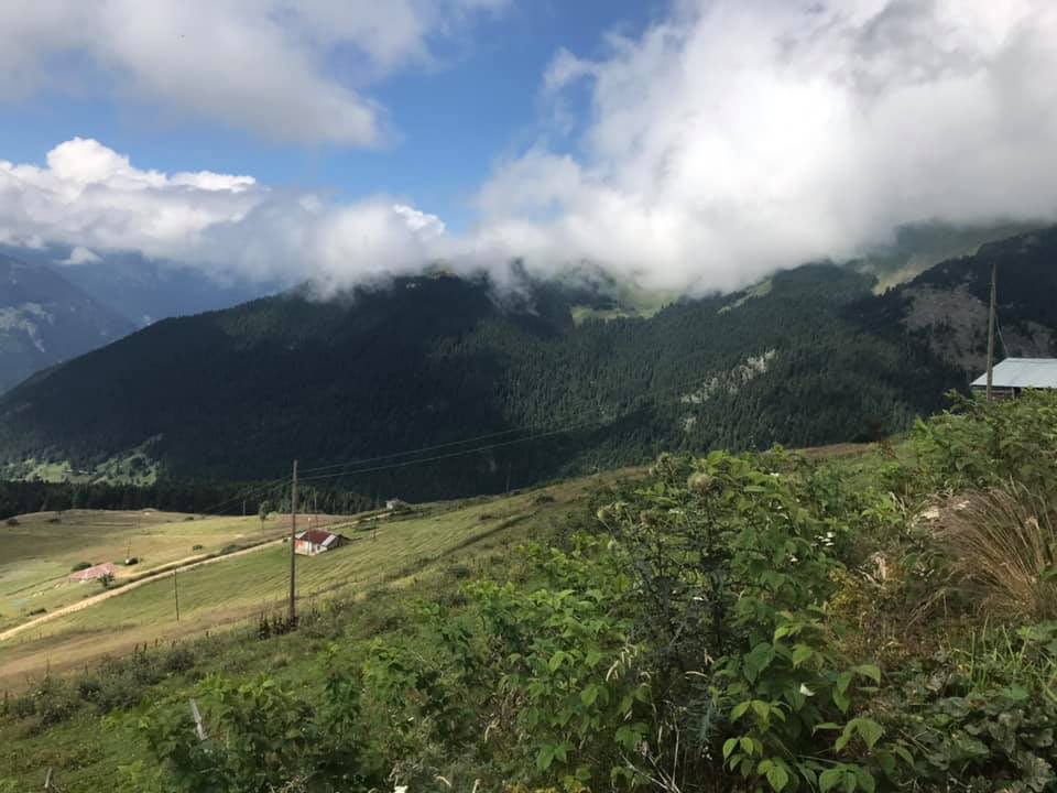 📍 Kiraz Yaylası / Trabzon

Trabzon şehir merkezine 45 km mesafede bulunana kamp alanıdır. Muhteşem görünümlü yeşil bitki örtüsü ve renkli çiçek çeşitleri ile çevrilmiş bir alandır. Alanda düz bir zemin hakim olduğundan dilenen alana çadır konumlandırmak mümkündür.
#kamp