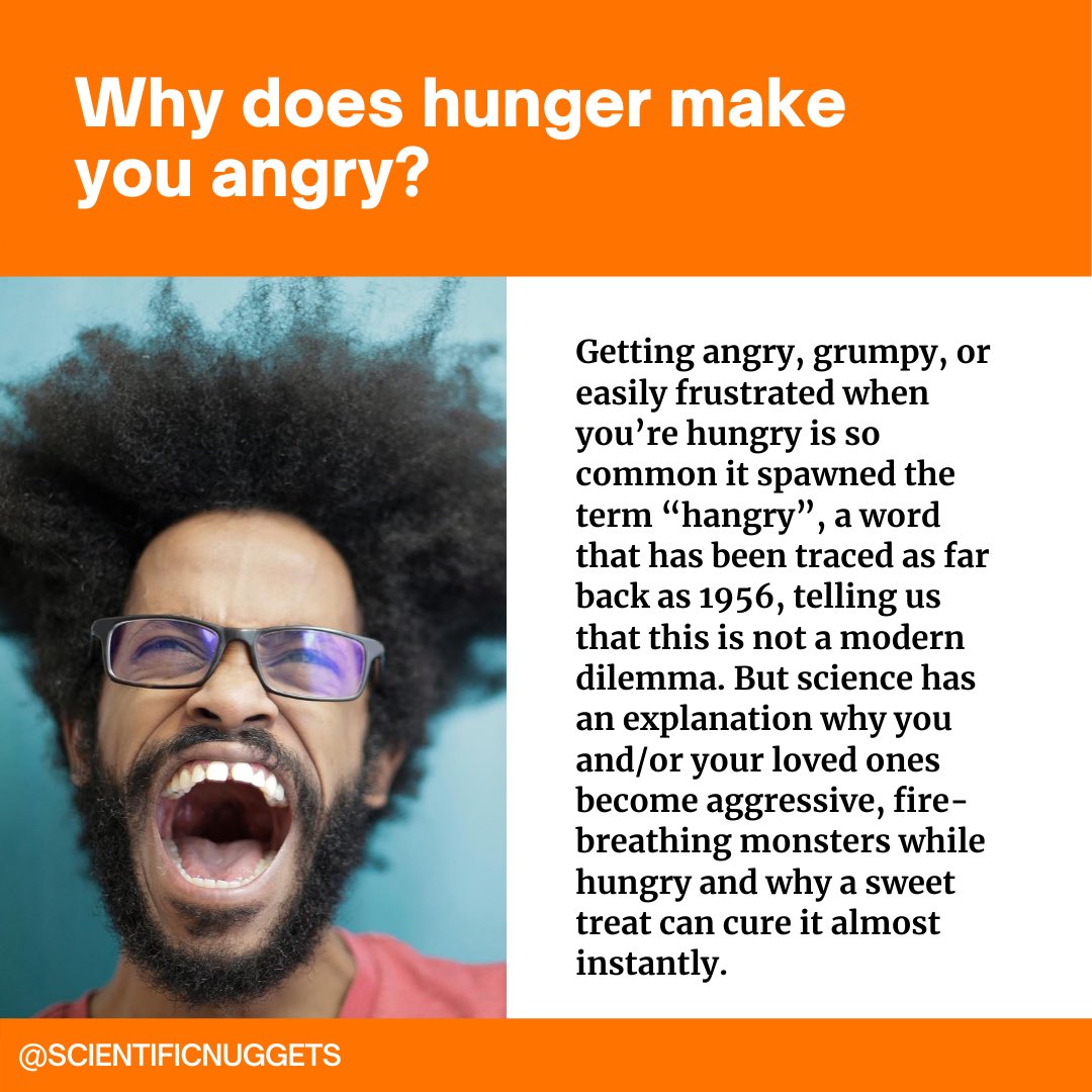 scientificnuggs's tweet photo. “You’re not you when you’re hungry” is a phrase we all know very well. But why does that happen? Check out our latest post to find out! 😡😤

https://t.co/IKf6yVBNlg https://t.co/k2CUuF2WbT