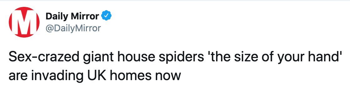 Sarah 🚩 #WearAMaskYouStupidBastards tweet media