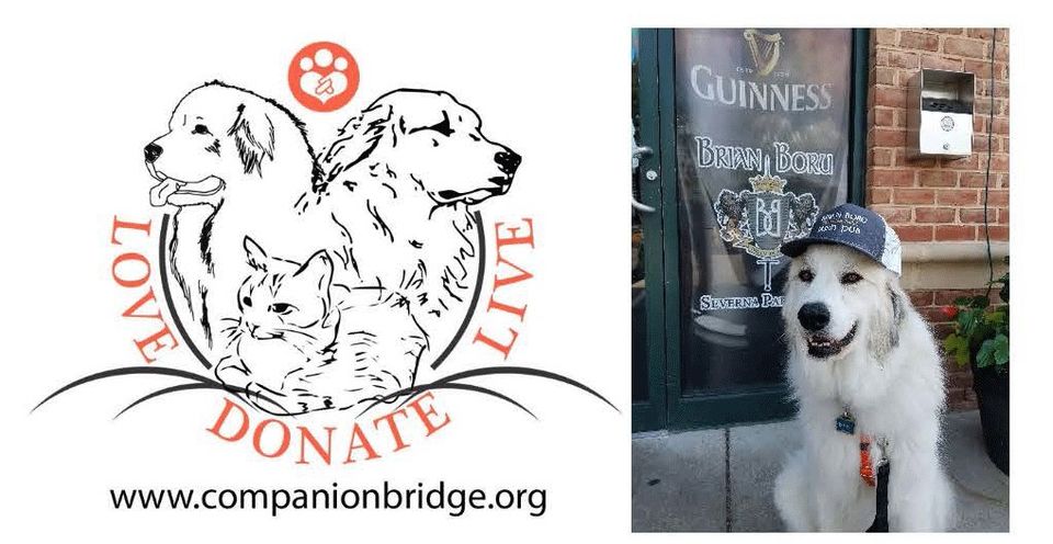 Brian Boru Irish Pub tweet media