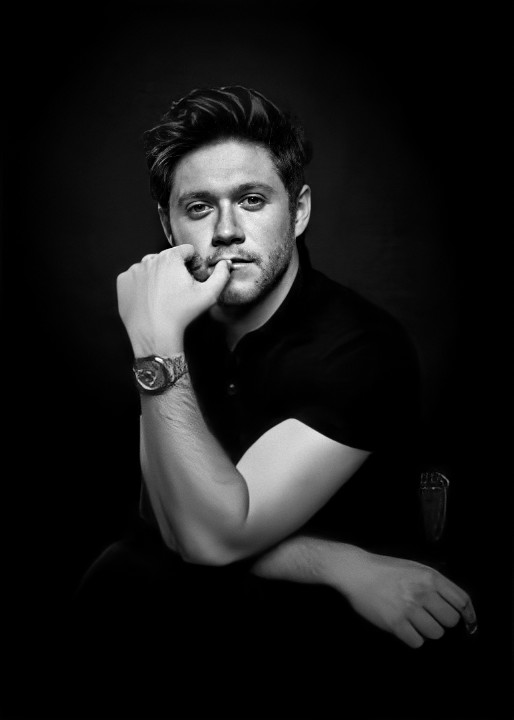 Niall.This photo shoot.That's it. That's the tweet.